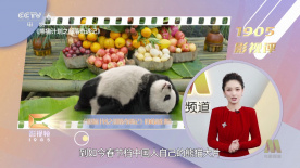 理片